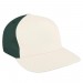 White-Hunter Green Denim Slide Buckle Skate Cap 3Q Image