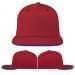 Red-Royal Blue Canvas Snapback Flat Brim, Virtual Image