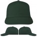 Hunter Green Domestic Snapback Prostyle VIRTUAL Image