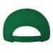 Kelly Green Twill Back Eyelets Snapback