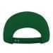 Kelly Green Twill Back Snapback