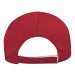 Red Domestic Velcro Skate Cap BACK Image
